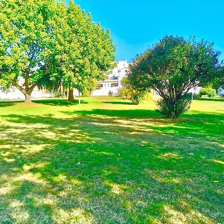 T1, Da Oura * アルブフェイラ